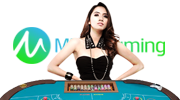 megagaming-casino